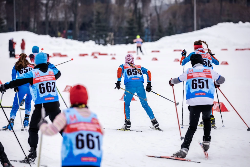 Лыжные гонки